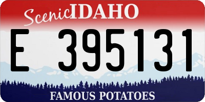 ID license plate E395131