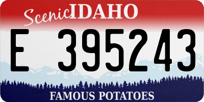 ID license plate E395243