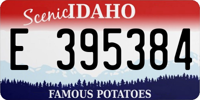 ID license plate E395384