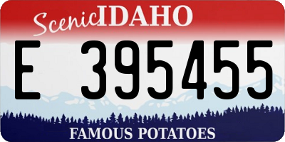 ID license plate E395455