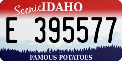 ID license plate E395577