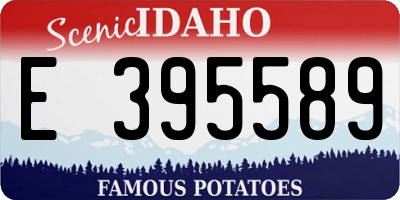 ID license plate E395589