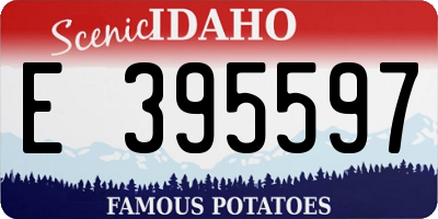 ID license plate E395597