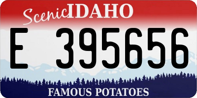 ID license plate E395656