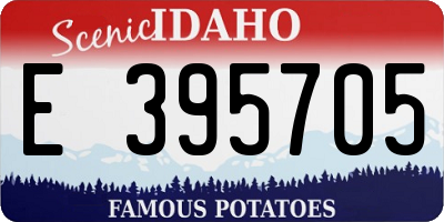 ID license plate E395705