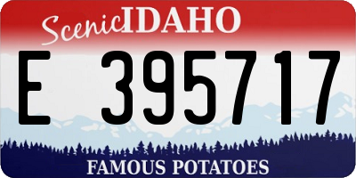ID license plate E395717