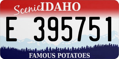 ID license plate E395751