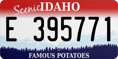 ID license plate E395771
