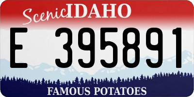 ID license plate E395891