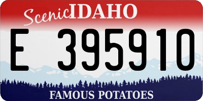 ID license plate E395910