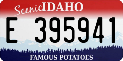ID license plate E395941