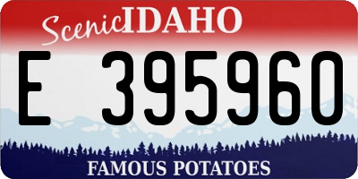 ID license plate E395960