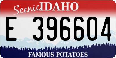ID license plate E396604