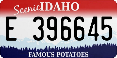 ID license plate E396645