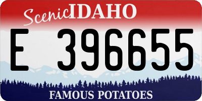 ID license plate E396655