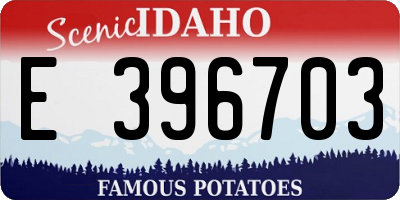 ID license plate E396703