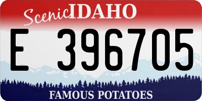 ID license plate E396705