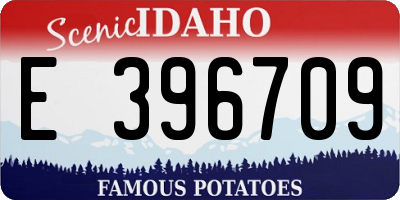 ID license plate E396709