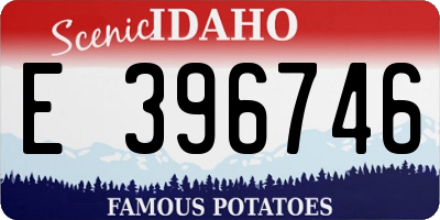 ID license plate E396746