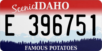 ID license plate E396751