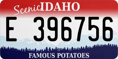 ID license plate E396756