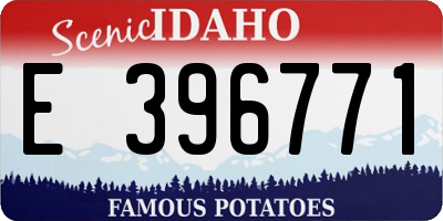 ID license plate E396771