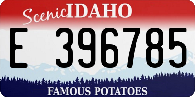ID license plate E396785