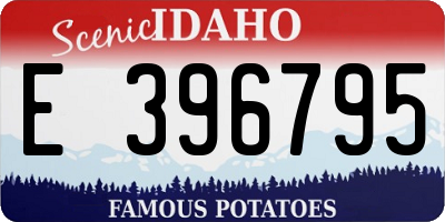 ID license plate E396795