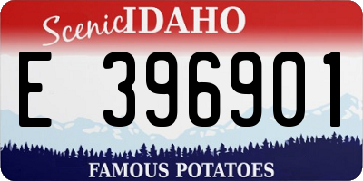 ID license plate E396901
