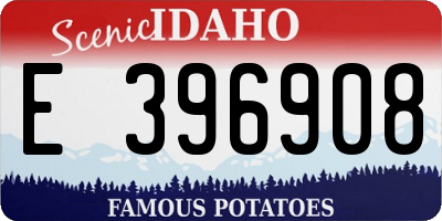 ID license plate E396908