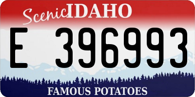 ID license plate E396993