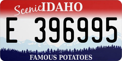 ID license plate E396995