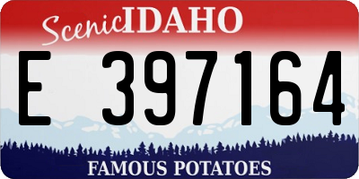 ID license plate E397164