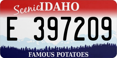 ID license plate E397209