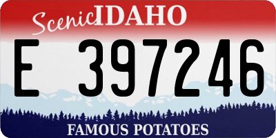 ID license plate E397246