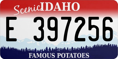ID license plate E397256