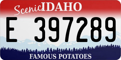 ID license plate E397289