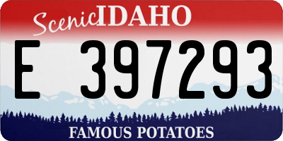 ID license plate E397293