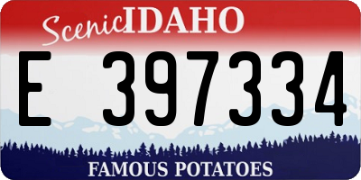 ID license plate E397334