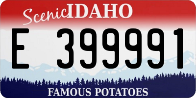 ID license plate E399991