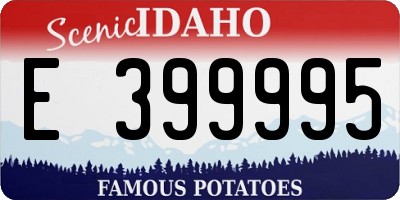 ID license plate E399995