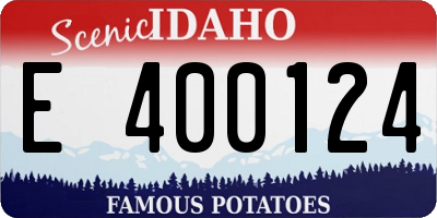 ID license plate E400124