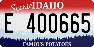 ID license plate E400665