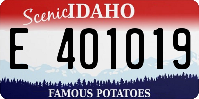 ID license plate E401019