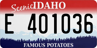 ID license plate E401036