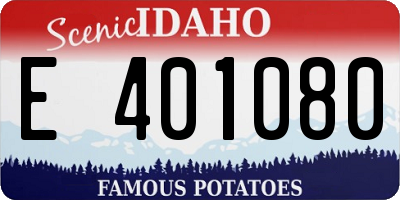 ID license plate E401080