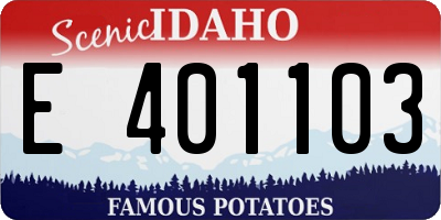 ID license plate E401103