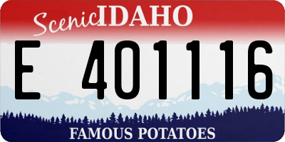ID license plate E401116