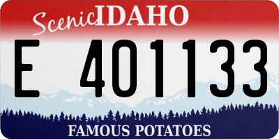 ID license plate E401133