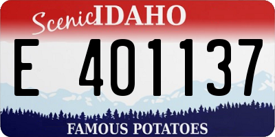 ID license plate E401137